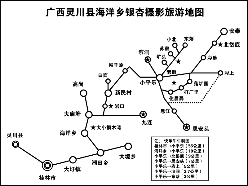寻找深秋那点黄银杏飘落在那片金黄中迷醉